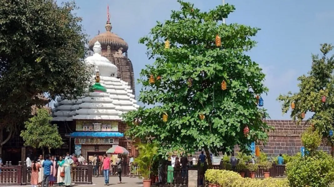 Beachfront Cottage in Kerala